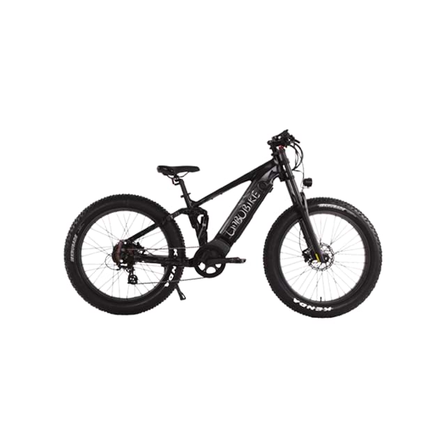 26 Zoll Fat Tire Elektro-Mountainbike mit Vollfederung