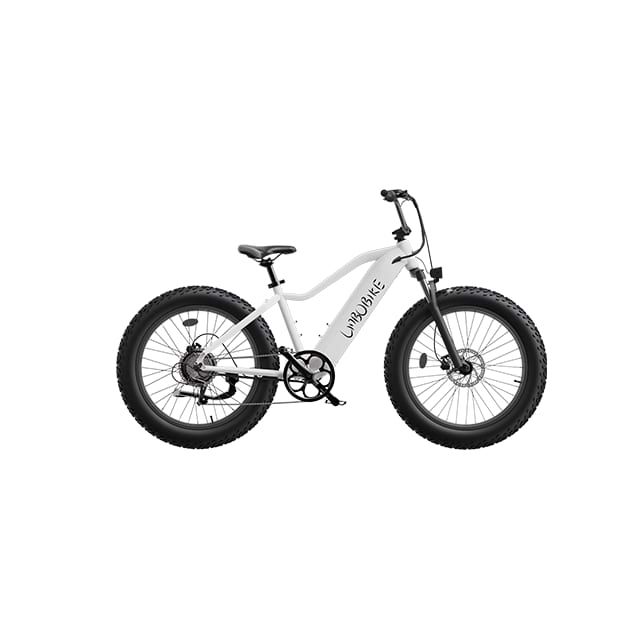 26 Zoll Fat Tire Elektro-Mountainbike City Commuting LB-DS01