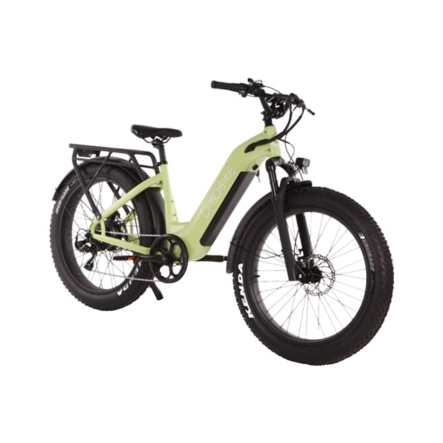 26 Zoll Fat Tire Step-Thru Elektrofahrrad City Commuting LBF-TK01