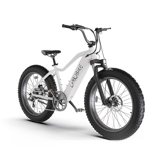 26 Zoll Fat Tire Elektro-Mountainbike City Commuting LB-DS01