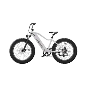 26 Zoll Fat Tire Elektro-Mountainbike City Commuting LB-DS01